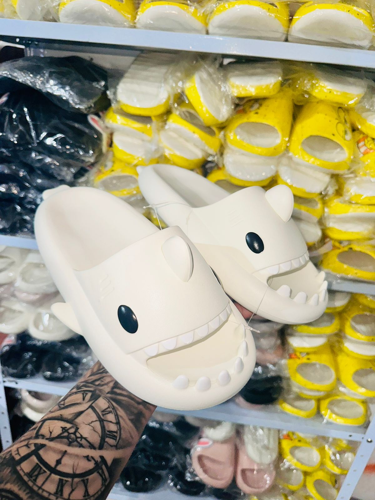 Pantuflas Sharkys Dama Cómodas De Moda