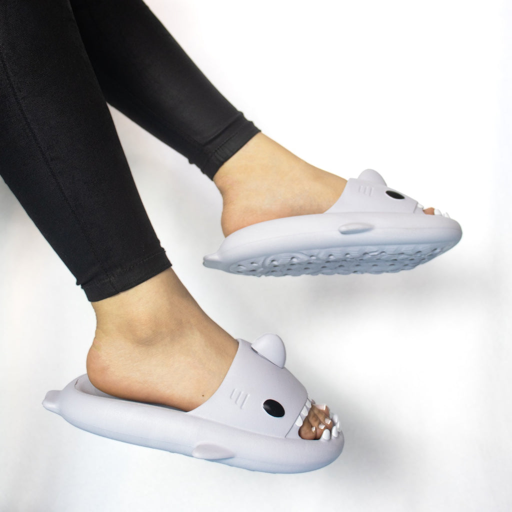 Pantuflas Sharkys Dama Cómodas De Moda