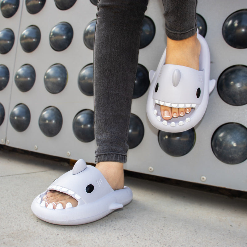 Pantuflas Sharkys Dama Cómodas De Moda