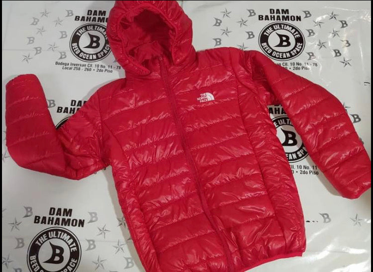 Chaqueta norface brillante hombre H136A