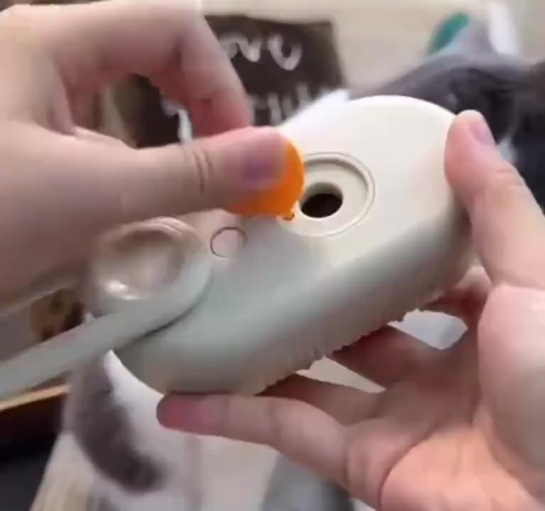 CEPILLO PARA MASCOTAS A VAPOR CON MANIJA