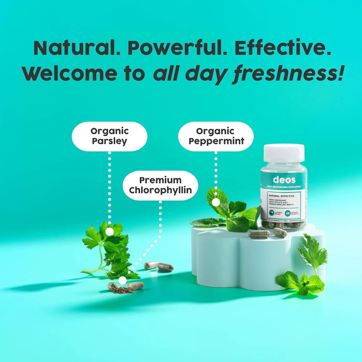 DEOS SUPPLEMENT